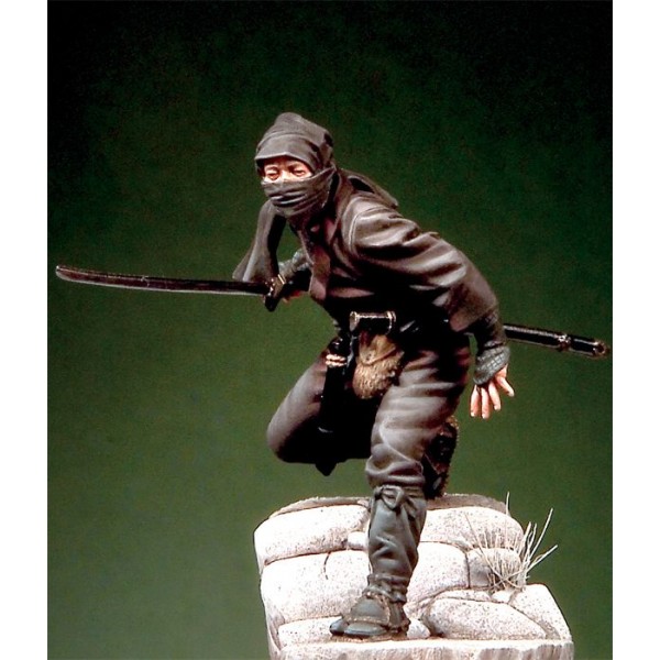 Nippon Warrior Ninja Assassin