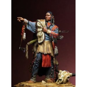 Noble Sioux Warrior