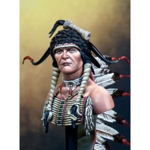 Sioux Warrior