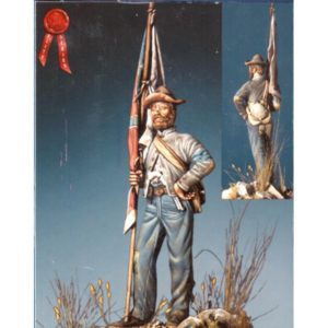 C.S.A. Texas Standard Bearer, 1861-65