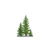 Pine group