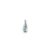 Winter Pine