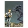 Xenomorfo - Serie General